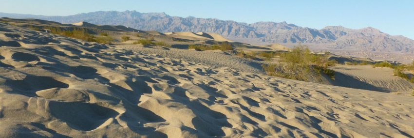 این تصویر دارای صفت خالی alt است؛ نام پروندهٔ آن mesquitesanddunes_2.jpg است