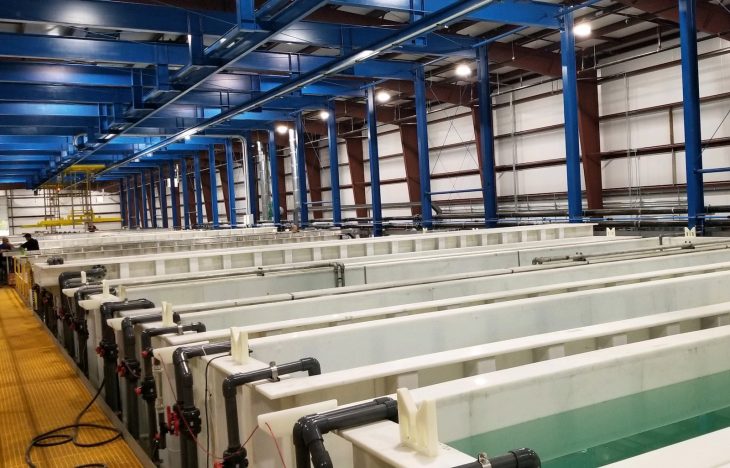 آندايزينگ آلومينيوم